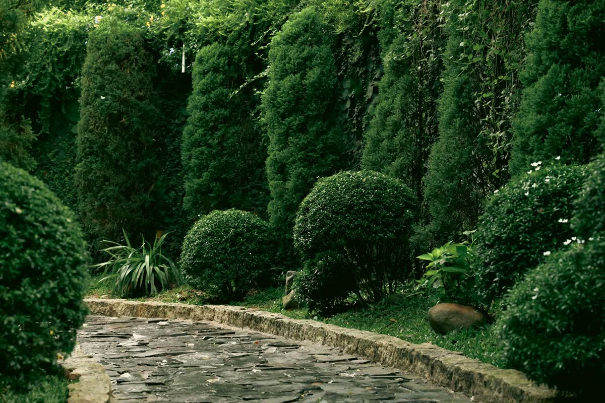 Sculpted evergreens beside a stone-edged pond