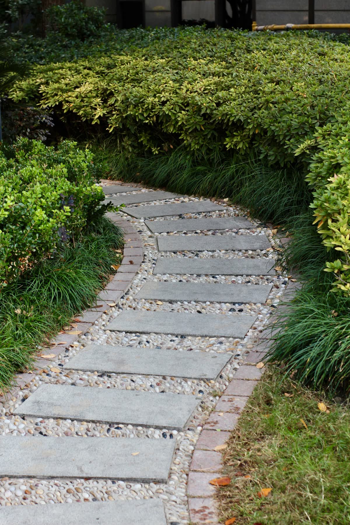 Curved stone pathway through greenery